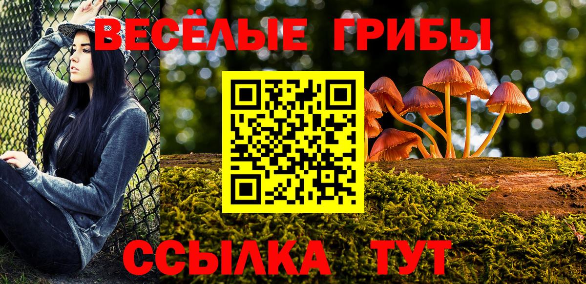 Псилоцибиновые грибы прущие грибы Урай