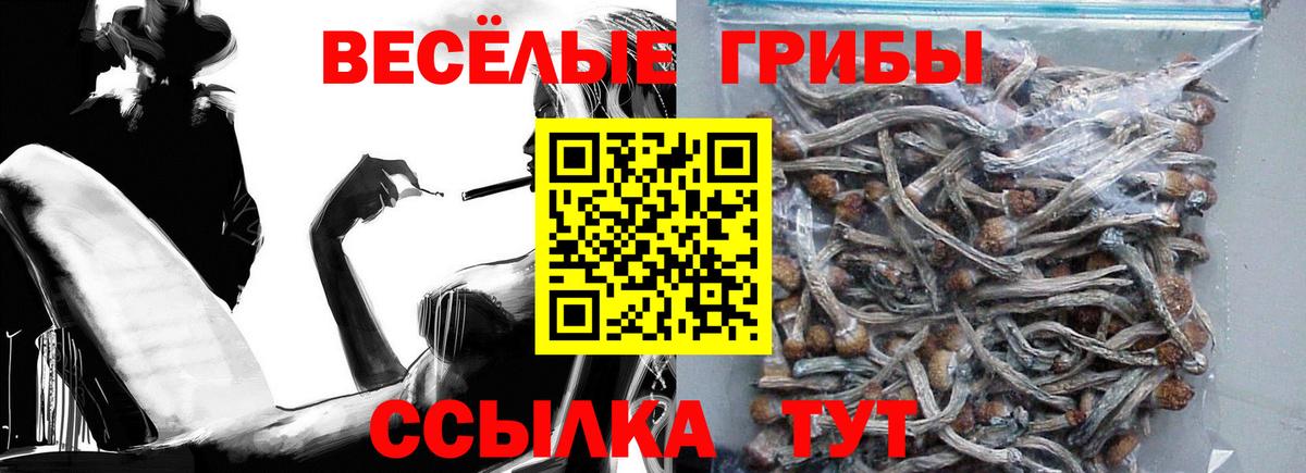 Урай  Псилоцибиновые грибы мицелий  Вход с VPN  купить наркоту  Галлюциногенные грибы Cubensis 